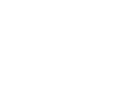 LimoShoes
